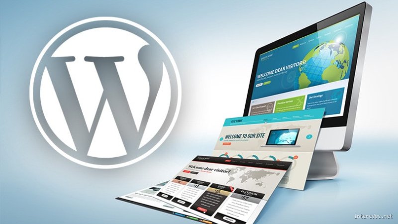Comment bien choisir sa formation WordPress sans se perdre dans la jungle des offres ?