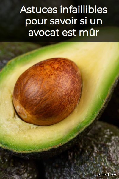 Comment savoir si un avocat est bon ?