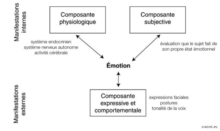 Où faire un bilan émotionnel et de personnalité ?