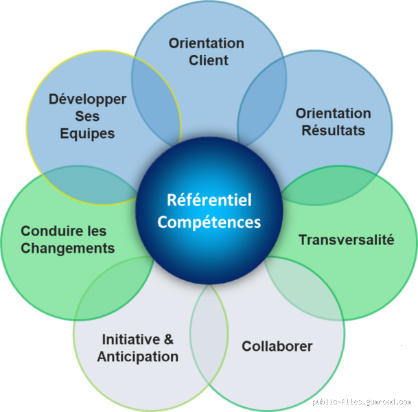 Où trouver un référentiel de compétences ? Les meilleures ressources pour vous