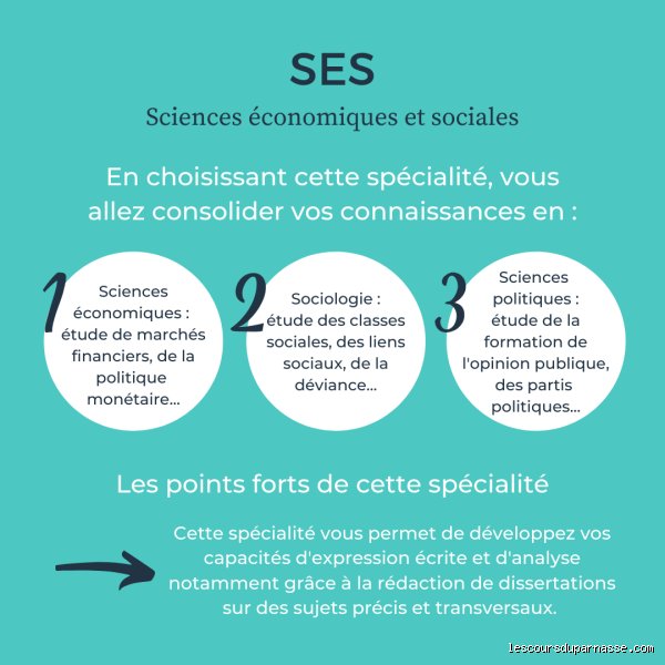 Pourquoi choisir la spécialité SES en première ?