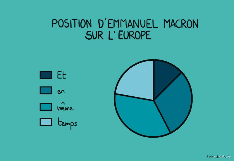 Pourquoi Dit-on la Macronie ?
