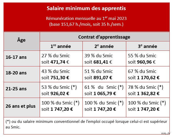 Quel est le travail qui paie le salaire minimum en France et pourquoi cette réalité concerne-t-elle des millions d'actifs ?