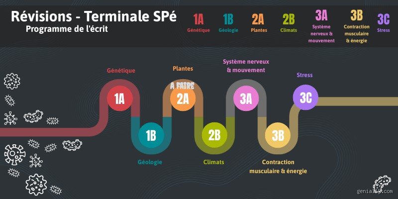 Quel spé enlever en terminale ?