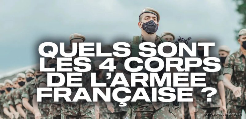 Quelles sont les 4 grandes forces de l'armée ? Analyse stratégique d'une puissance militaire moderne entre tradition et haute technologie
