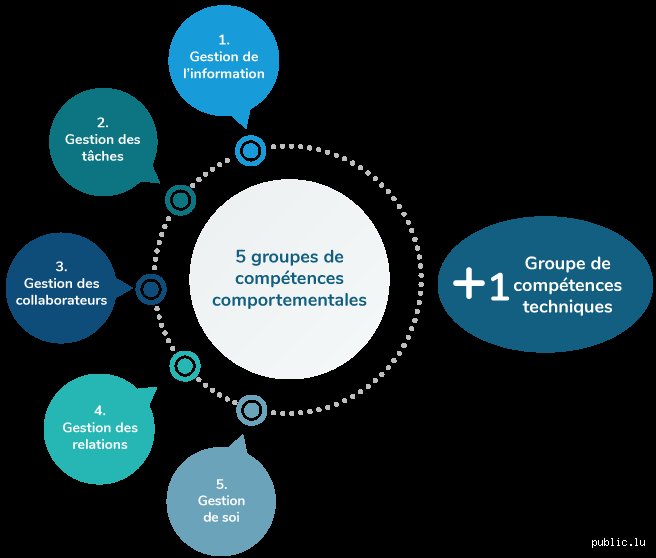 Quelles sont les 5 compétences techniques et les 5 compétences comportementales pour s'imposer sur le marché du travail en 2026 ?