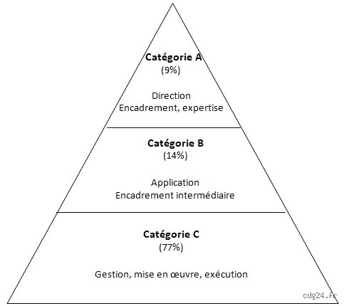 Quels sont les emplois de catégorie A ? Tout ce que vous devez savoir pour comprendre cette classification
