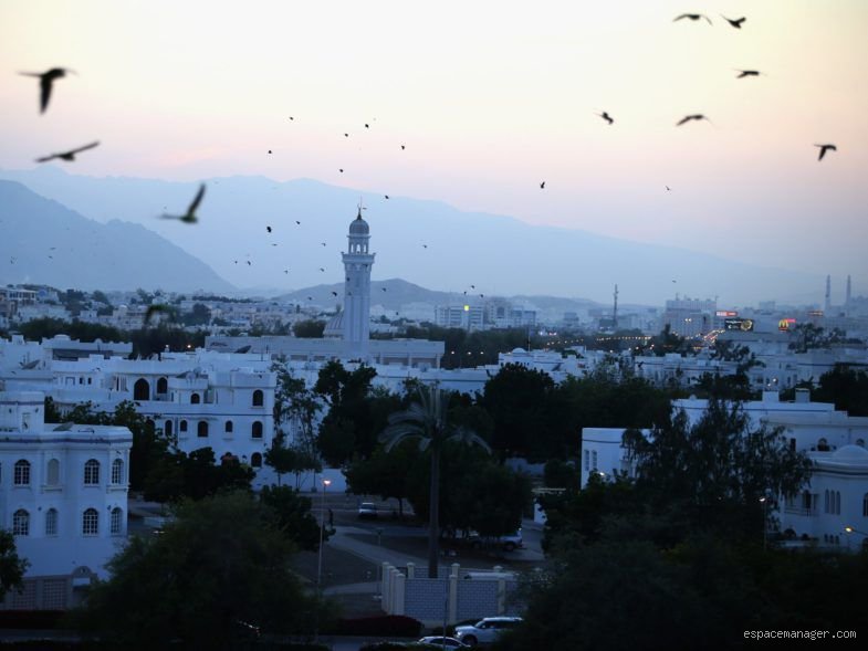 Quels sont les pays arabes les plus puissants ?