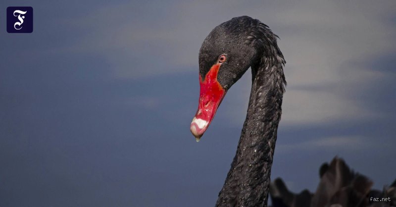 Woher kommt die Trauerfarbe Schwarz?