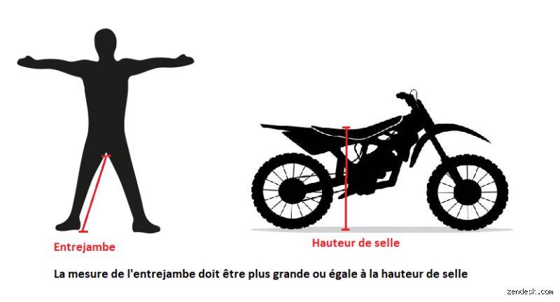 Quelle taille minimum pour faire de la moto ? Découvrez votre liberté sans complexe