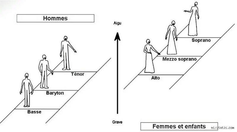 Quels sont les types de voix ? Le guide pour enfin comprendre sa propre tessiture