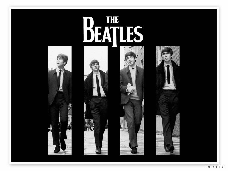 Qui est le plus grand groupe de musique du monde : la vérité mathématique face à la légende urbaine