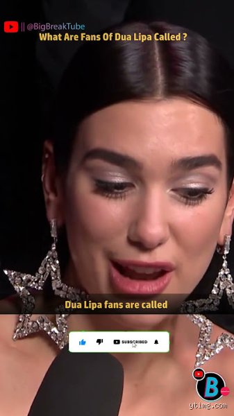What does Dua Lipa call his fans ? Tout savoir sur le nom secret des admirateurs de la star mondiale