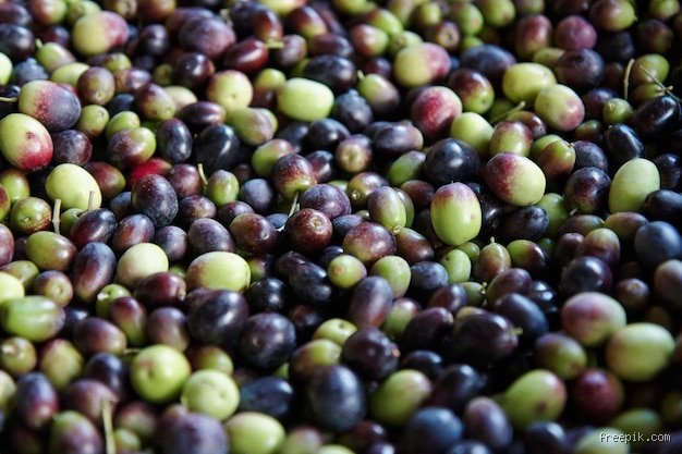 Sind Oliven Beeren?