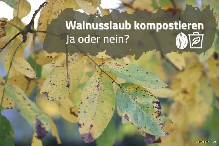 Was mache ich mit Walnusslaub? Praktische Tipps für Garten und Alltag