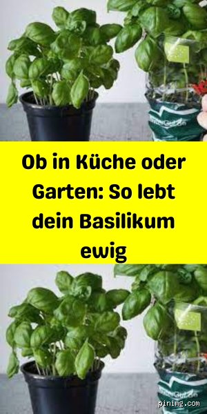 Welche Pflanze lebt ewig?
