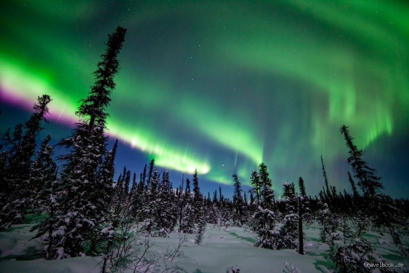 Wo sehe ich jetzt Polarlichter? Aktuelle Tipps für die besten Sichtungen