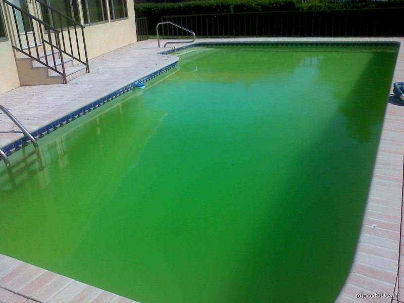 Pourquoi après un chlore choc la piscine est toujours verte et comment sortir de cette impasse visqueuse ?