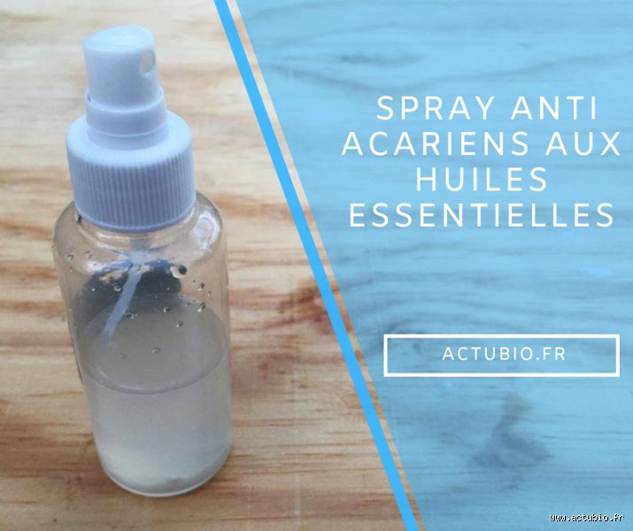 Marre des Acariens ? Fabrique TON Anti-Acarien Maison (Qui Marche Vraiment !)