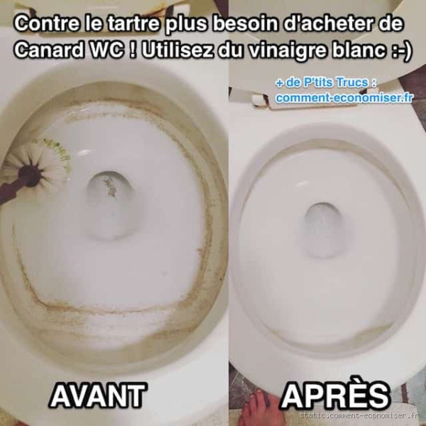 Comment nettoyer les toilettes avec de l'acide citrique ? Un truc simple et efficace
