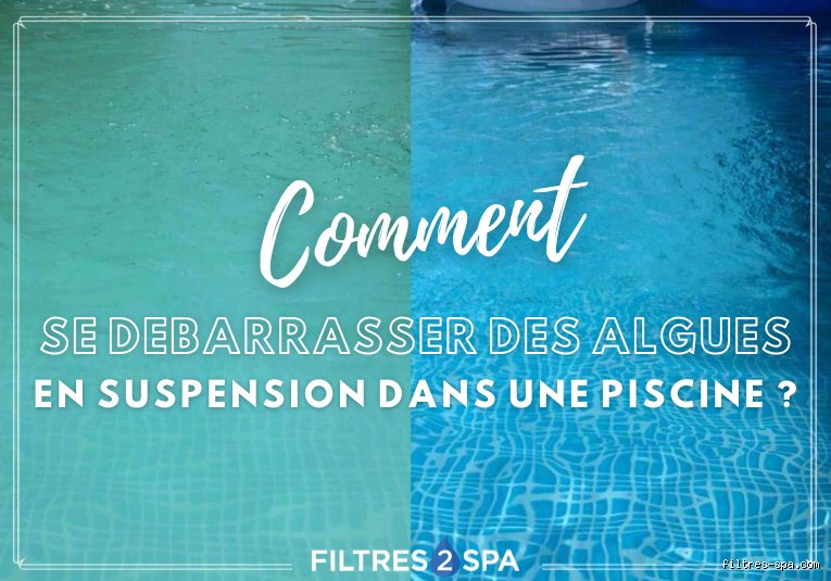 Comment puis-je me débarrasser des algues mortes dans ma piscine sans transformer mon bassin en mare boueuse ?