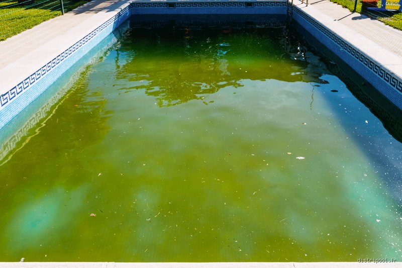 Comment se débarrasser rapidement des algues dans une piscine grâce à des remèdes maison sans se ruiner