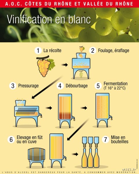 Est-ce qu'on aère le vin blanc ? Le guide technique pour sublimer vos bouteilles