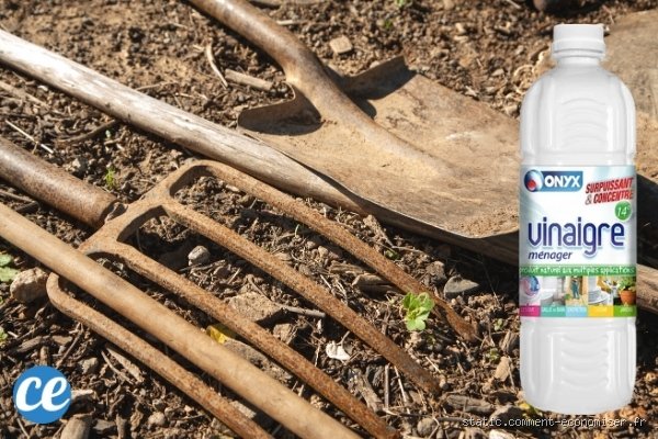 Rouille, Vinaigre Blanc : Le Duo de Choc (ou Pas) Qui Va Sauver Vos Objets!