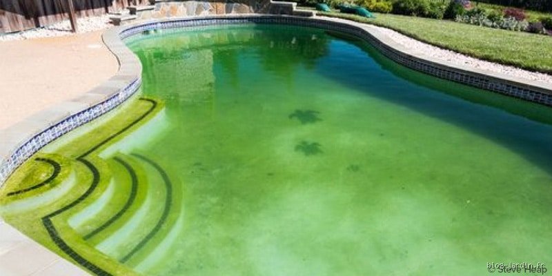 Le chlore peut-il éclaircir une piscine verte ? Le verdict sans concession sur le traitement choc et ses limites réelles