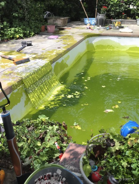 Le vinaigre élimine-t-il les algues vertes dans nos jardins et bassins ? Vérité scientifique et fausses bonnes idées