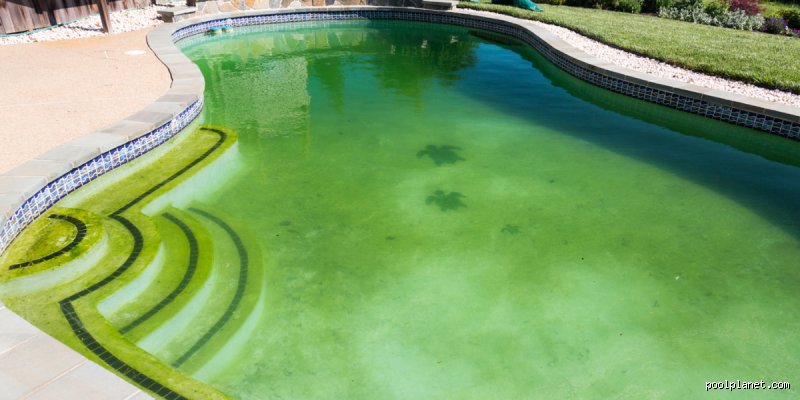 Pourquoi ma piscine reste-t-elle verte malgré un traitement au chlore choc ? Comprendre l'échec de la désinfection