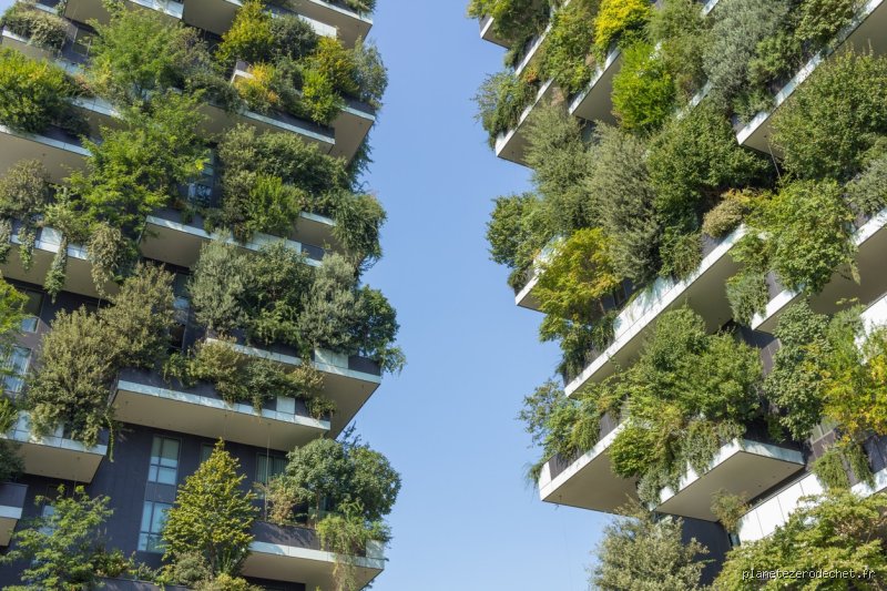 Pourquoi mon mur devient vert ?
