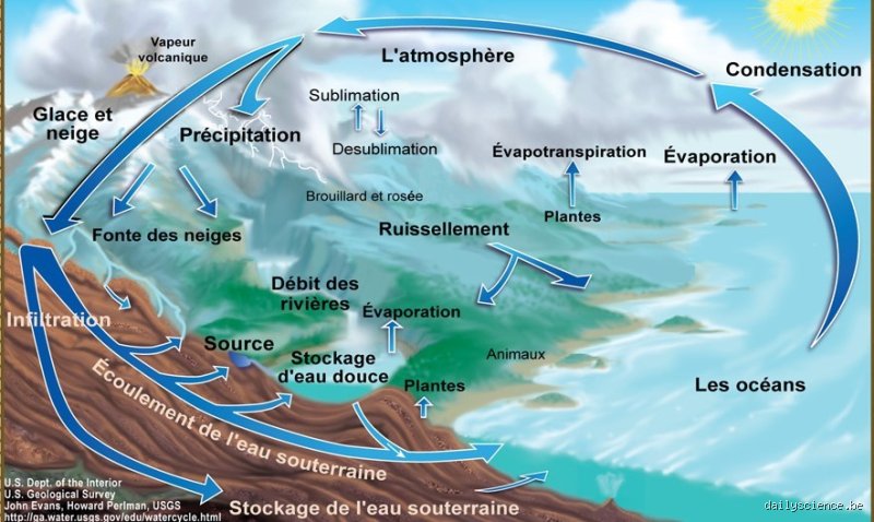 Qu'est-ce qui provoque l'évaporation de l'eau ? Le ballet invisible des molécules enfin décortiqué pour vous