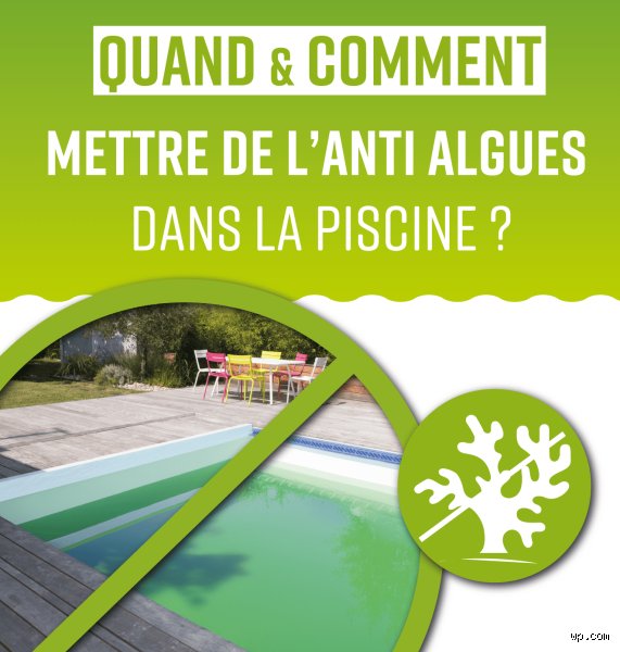 Quand mettre l'algicide dans la piscine : le guide expert pour ne plus jamais subir l'eau verte