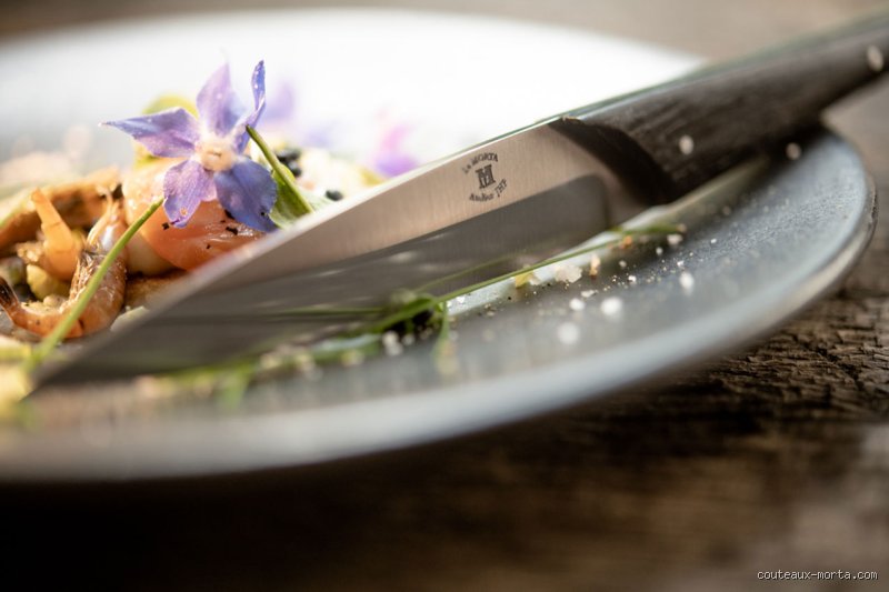 Quel couteau pour manger tous les jours ?
