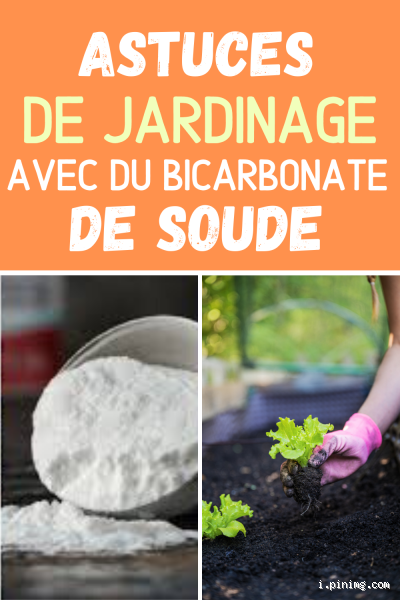 Quel effet du bicarbonate sur les plantes ? Découvrez ses bienfaits insoupçonnés !
