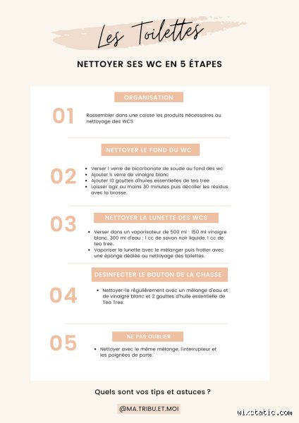 Quel ordre pour nettoyer les toilettes ?