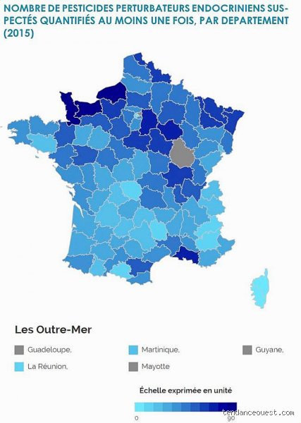 Quelle est l'eau la plus polluée en France ? Voyage au cœur des nappes phréatiques et des rivières sacrifiées