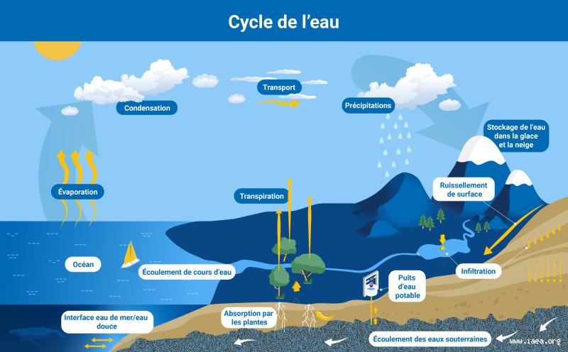 Les 4 principales sources de pollution de l'eau : Découvrez l'impact