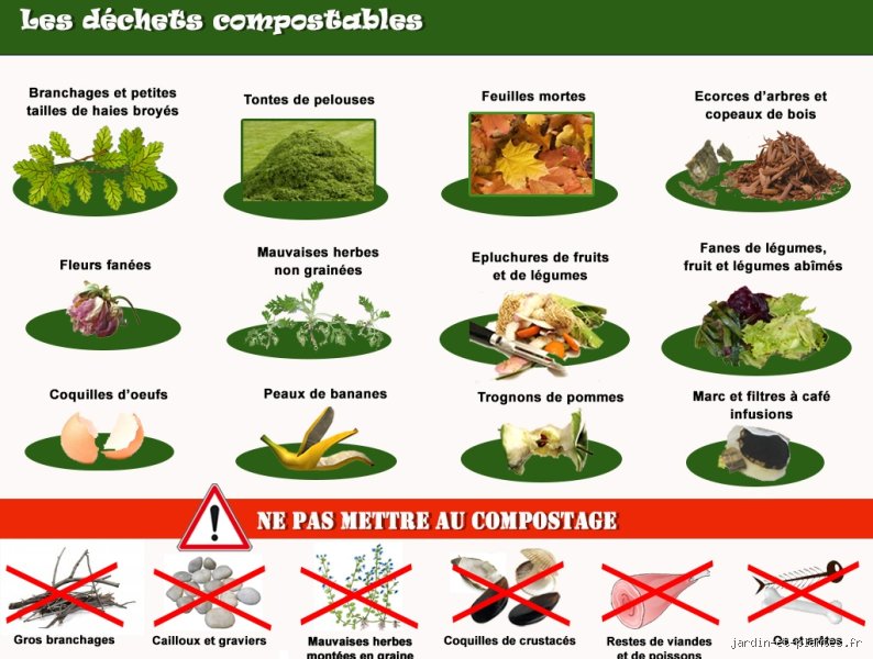 Les déchets à ne pas mettre dans le compost : le guide pour un jardin sain et sans surprises