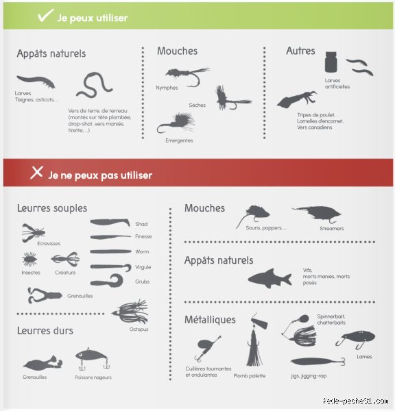 Quel type de pêche éviter pour sauver nos océans et consommer de manière vraiment responsable aujourd'hui ?