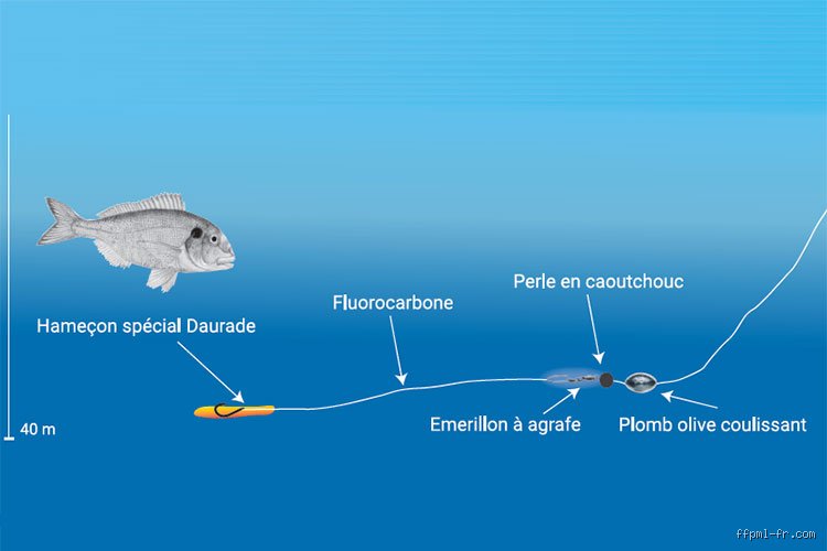 Quelle est la meilleure période pour pêcher en Méditerranée ?