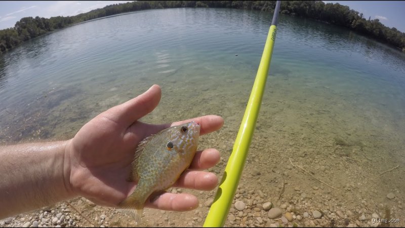 Quelle est la pêche la plus facile ? Le guide complet pour réussir ses premières prises sans se ruiner ni s'arracher les cheveux