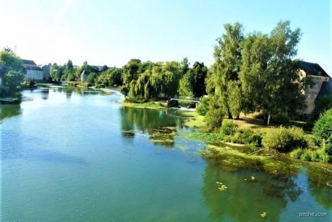 Quelle est la rivière la plus poissonneuse de France ? Le verdict sans concession sur nos cours d'eau