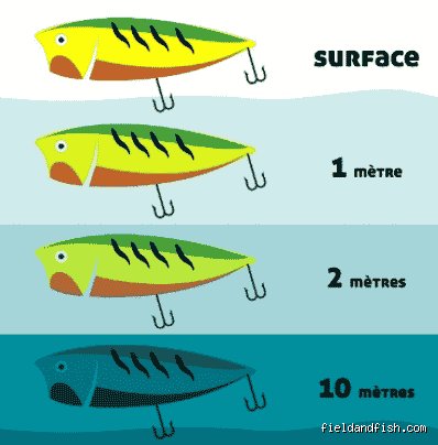 Quelle pêche privilégier ? Le guide ultime pour choisir sa technique selon la saison, le spot et l'éthique