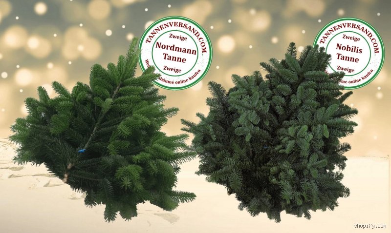 Was ist der Unterschied zwischen Nobilis Tanne und Nordmanntanne?
