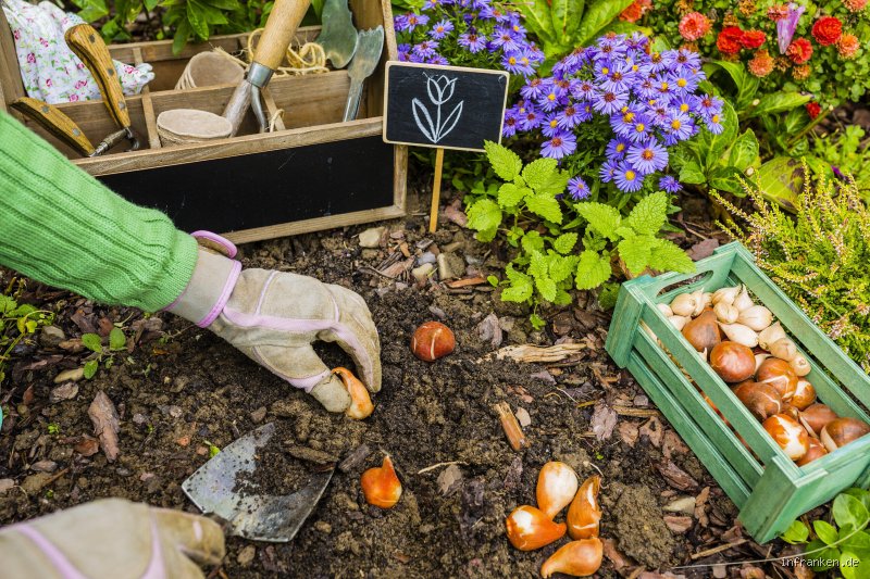 Was ist im Februar und März im Garten zu tun?