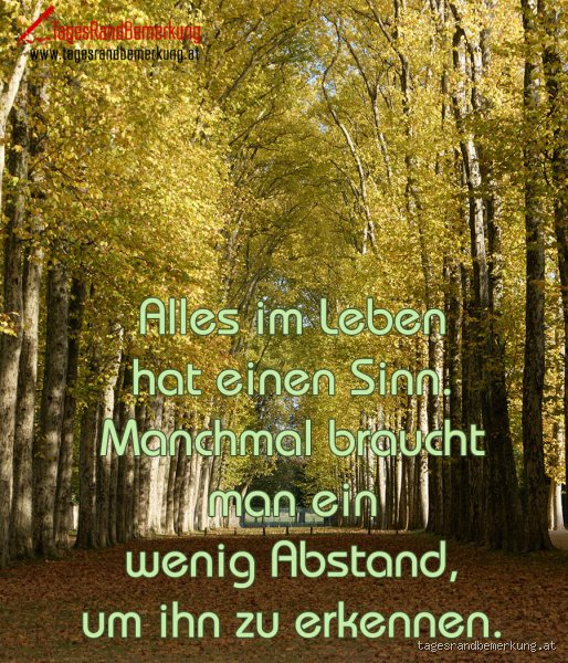 Hat alles im Leben einen Sinn?