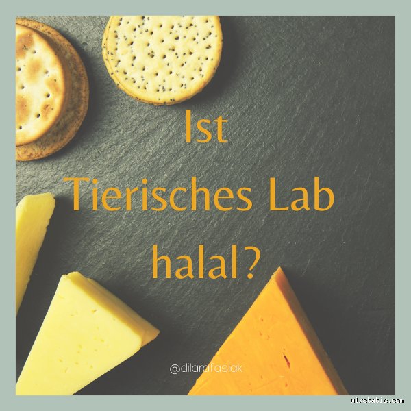 Ist tierisches Lab halal? Die ehrliche Wahrheit über deinen Käse