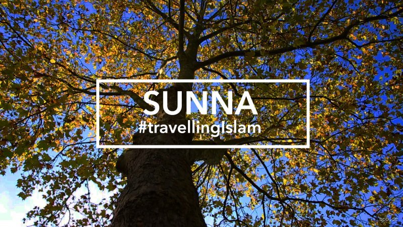 Warum die Sunna im Islam eine zentrale Rolle spielt